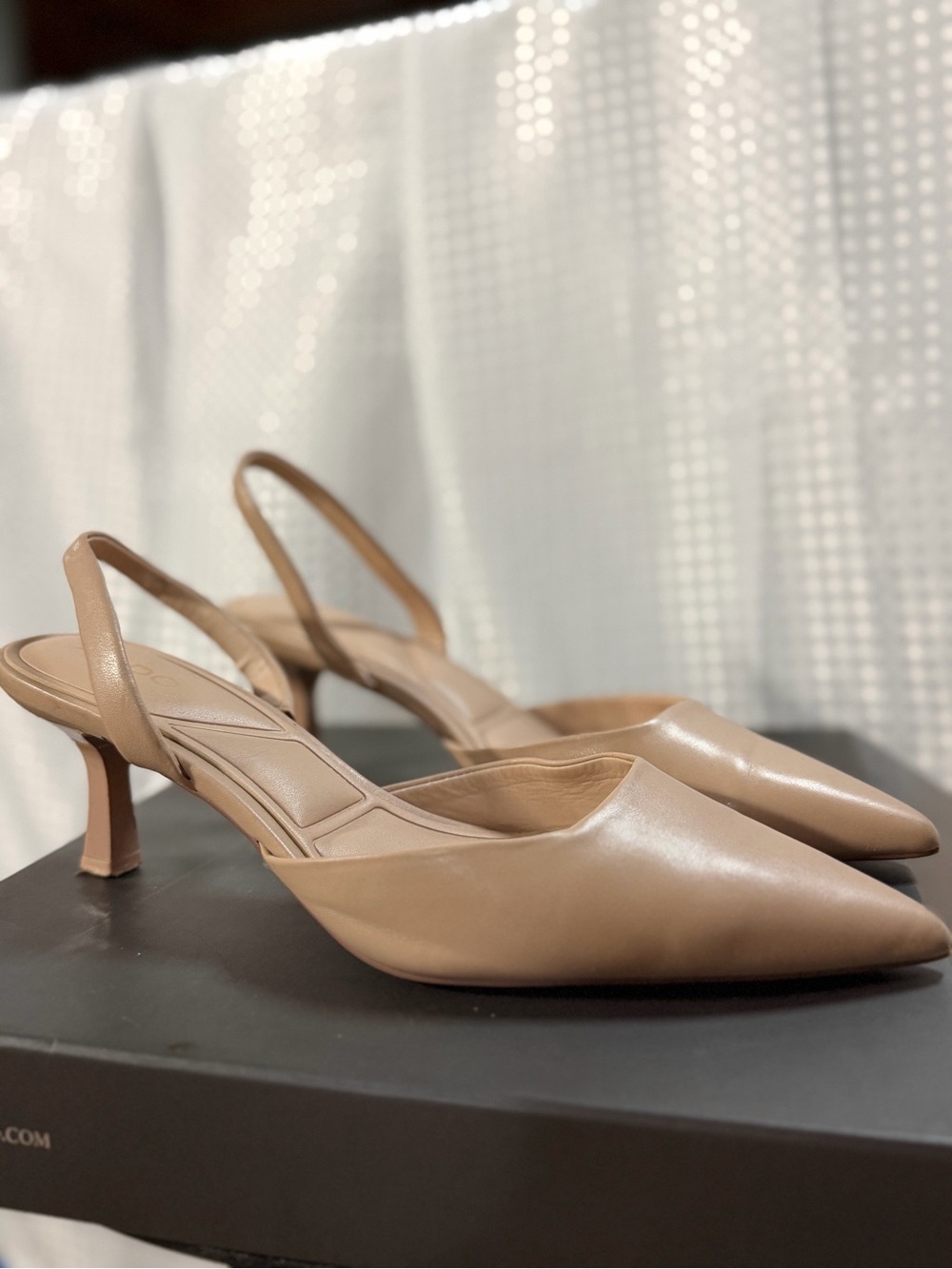 Aldo Beige Pointed-Toe Slingback Pumps